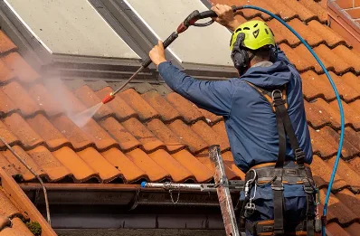 Démoussage et hydrofuge de toiture à Juvinas